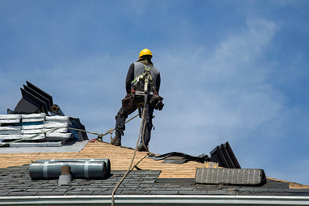 Professional Gutter Installation technician working in Leota, MN
